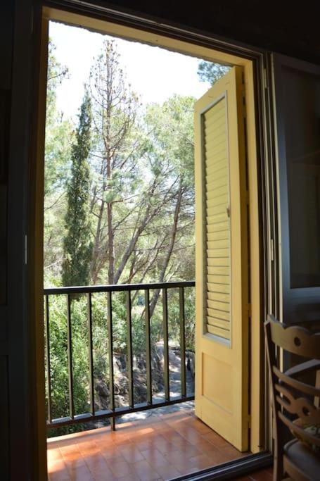 Pushe Village Las Gaviotas Nature & Relax 萨各夫雷纳 外观 照片